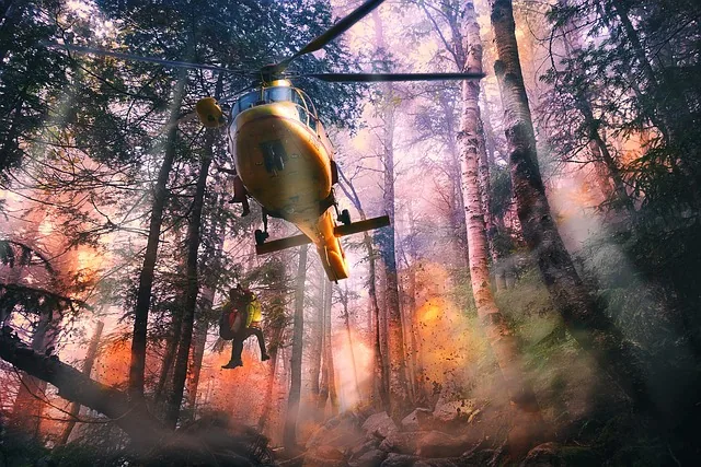 hubschrauber, rettung, natur, erste hilfe, bergrettung, fliege, rotor, abseilen, notfallsituationen, unfall, benutzen, winde, feuer, wald, baum, licht, explodieren, sprengen, achtung