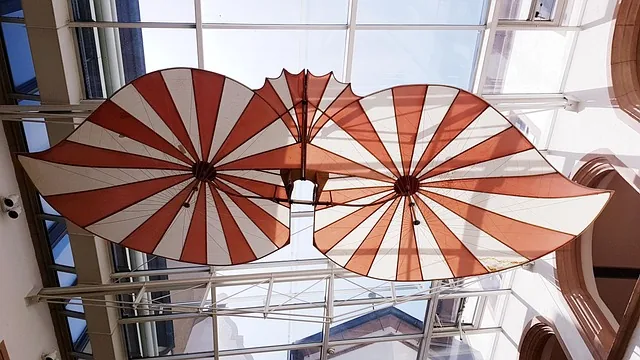 flying machine, wing, schneider, from ulm, first, glide, pioneer, aviation