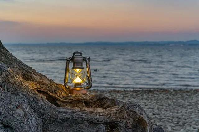 laterne, meer, himmel, strand, wasser, wolken, baum, ufer, natur, myfestiveseason, germany