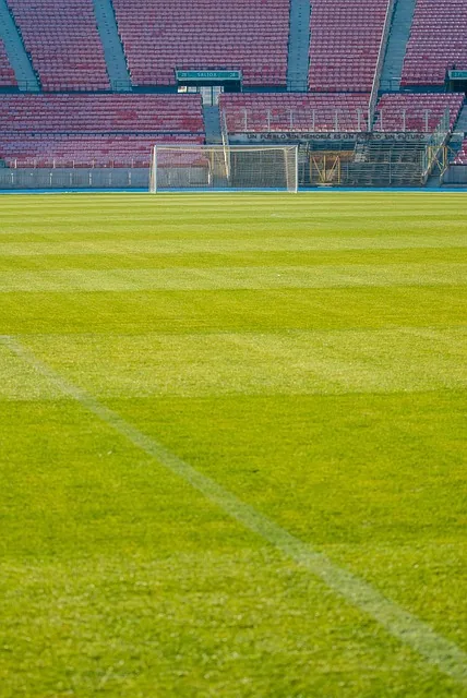 stadion, fußball, santiago, gras, sport, fußballstadion, öffentliche, natur, tribüne für die öffentlichkeit, olympiastadion, vakuum