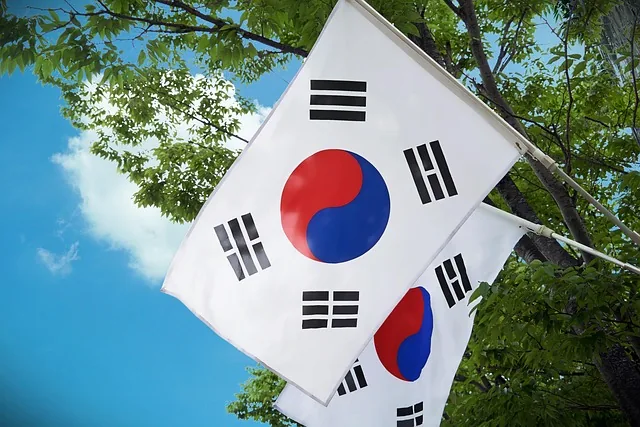koreanische flagge, south korea flag, korea, korea, korea, korea, korea, korea
