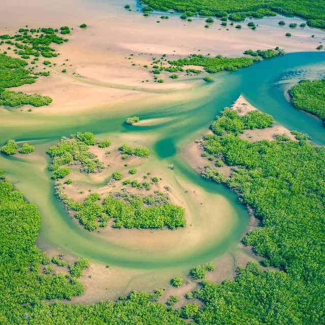 aerial, senegal, africa, oben, drohne, fluss, mangroves, senegal, senegal, senegal, senegal, senegal