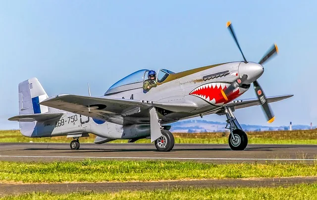 p-51, mustang, kämpfer, weltkrieg, luftfahrt