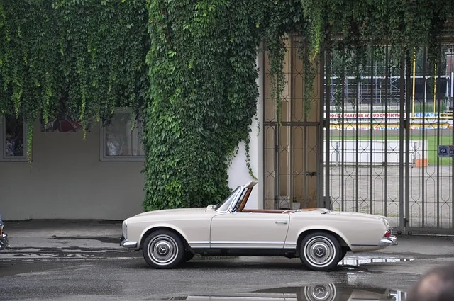 w113, mercedes, pagoda, cabriolet, car, sports car, car wallpapers, antique car, old car, the vehicle, retro car, auto, old, monument