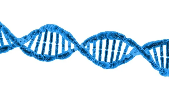 dna, biologie, wissenschaft, dna-helix, eiweiß, molekül, molekulare struktur, chromosom, spiral, mikrobiologie, desoxyribonukleinsäure, 3d, machen, isoliert, dna, dna, dna, dna, dna