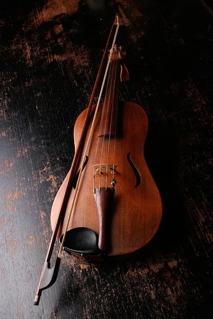 violine, bogen, musikinstrument, musik, klang, klassische musik, instrument, klassisch, holz, streichinstrument, saiten, violine, violine, violine, violine, musik, musik, musik, musik, musik