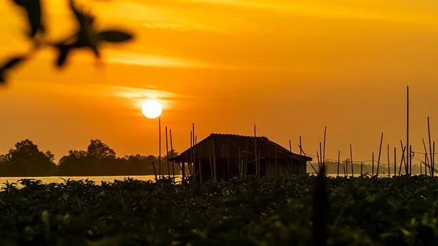 sonnenaufgang, vietnam, natur, fluss, can tho, mekong, dämmerung, landschaft, sonnenuntergang